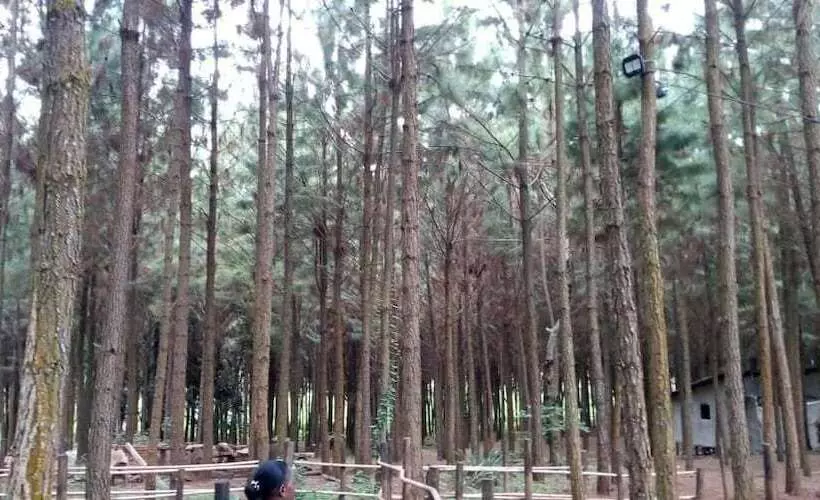 هتل Nyungu Yamawe Forest Park