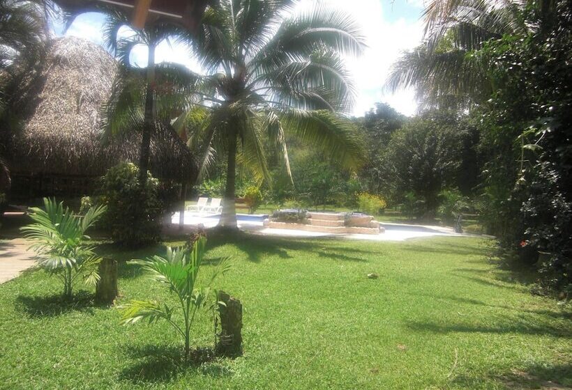 Отель Rancho Alegre