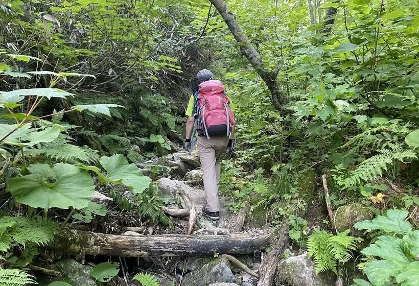 ホテル Rusutsu Grand Cabin