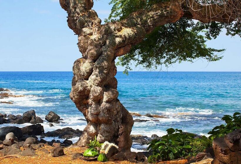 Outrigger Kona Resort And Spa