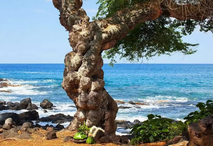 Outrigger Kona Resort And Spa