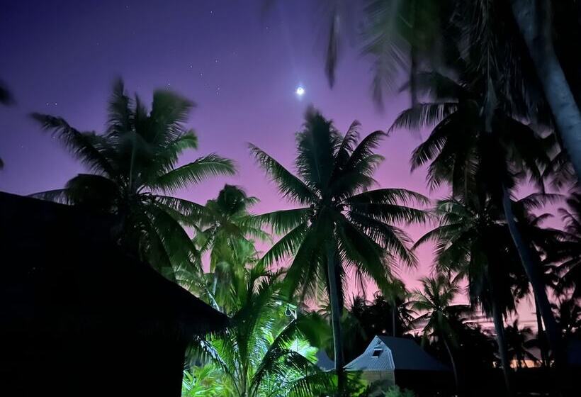 پانسیون Aotera Guest House