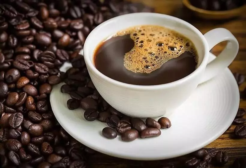 پانسیون Paloma Guest House & Restaurant