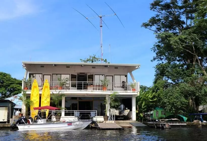 ペンション Tortuguero Adventures Guesthouse