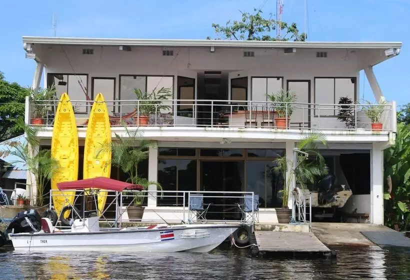 ペンション Tortuguero Adventures Guesthouse
