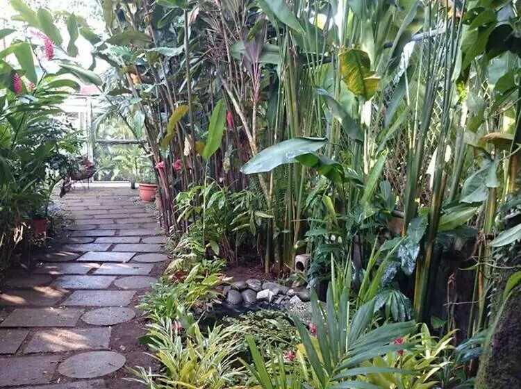 ペンション Tortuguero Adventures Guesthouse