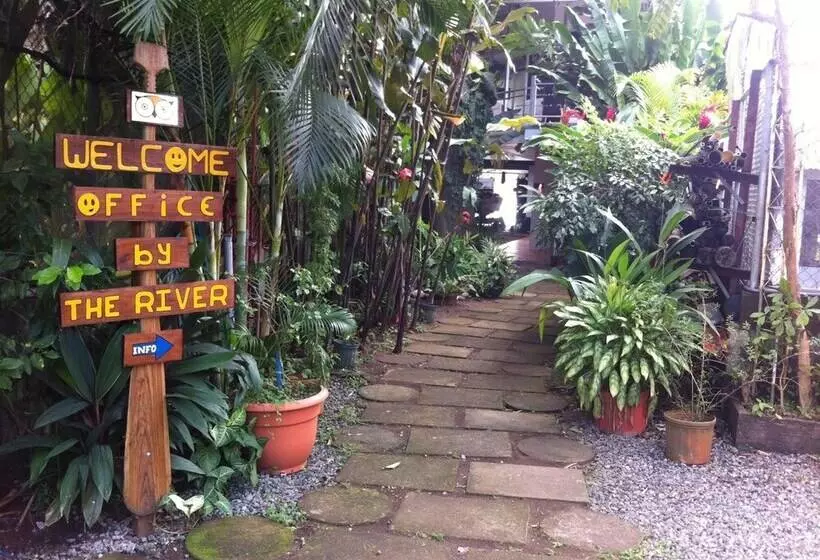 ペンション Tortuguero Adventures Guesthouse