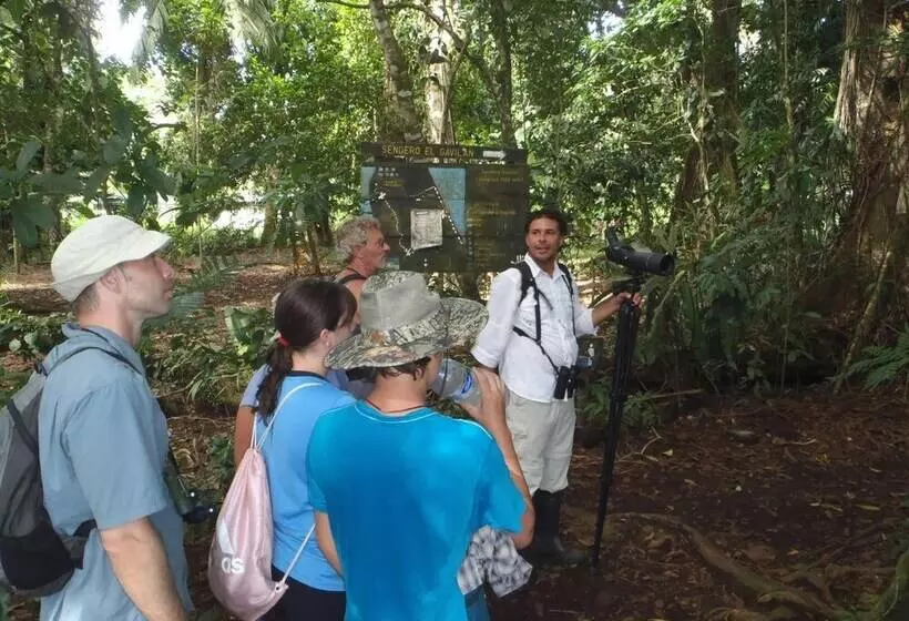 ペンション Tortuguero Adventures Guesthouse