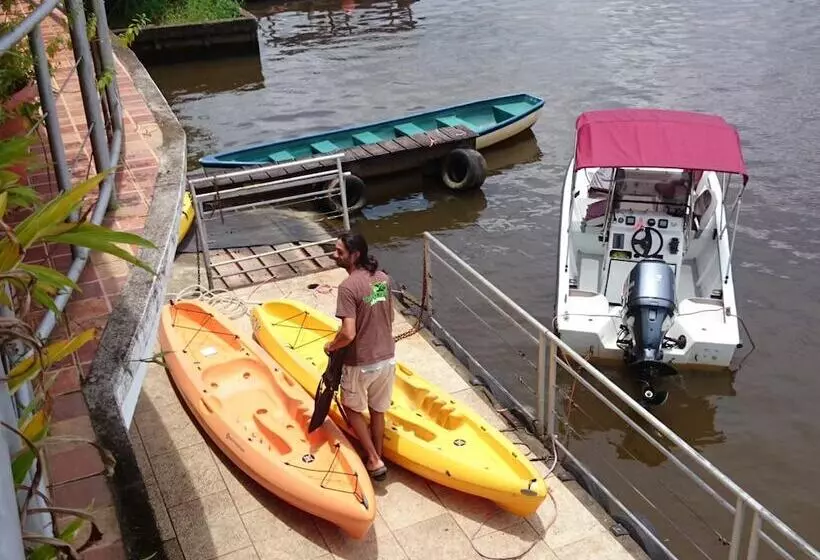 ペンション Tortuguero Adventures Guesthouse