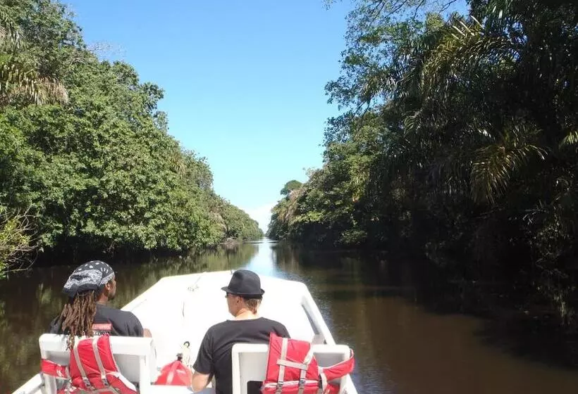 ペンション Tortuguero Adventures Guesthouse
