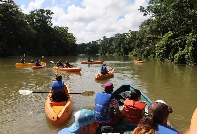 ペンション Tortuguero Adventures Guesthouse