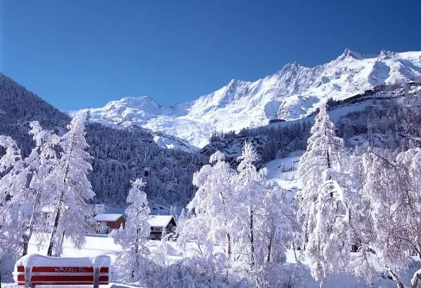 Pension Am Waldegg