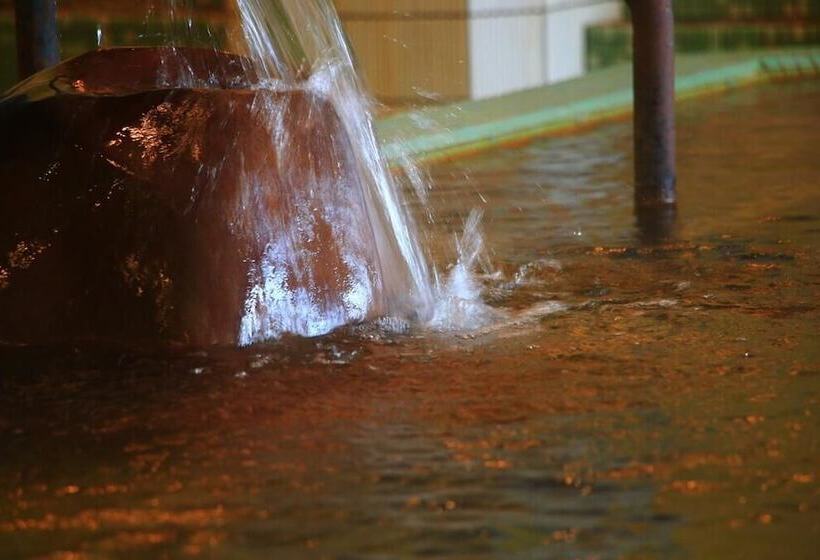 Ryokan Hitoyoshi Onsen Kumamura