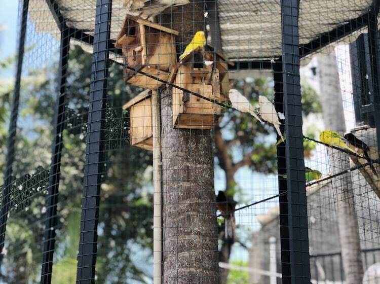 The Jungle Hostel Canggu