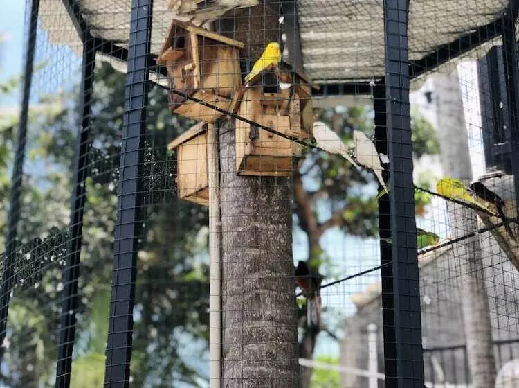 The Jungle Hostel Canggu