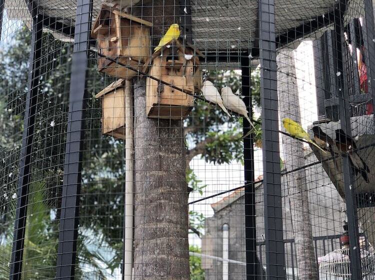 The Jungle Hostel Canggu