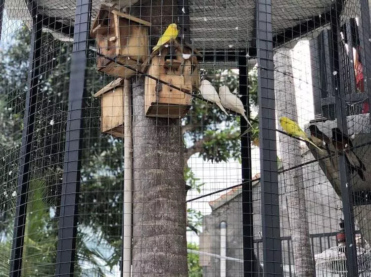 The Jungle Hostel Canggu