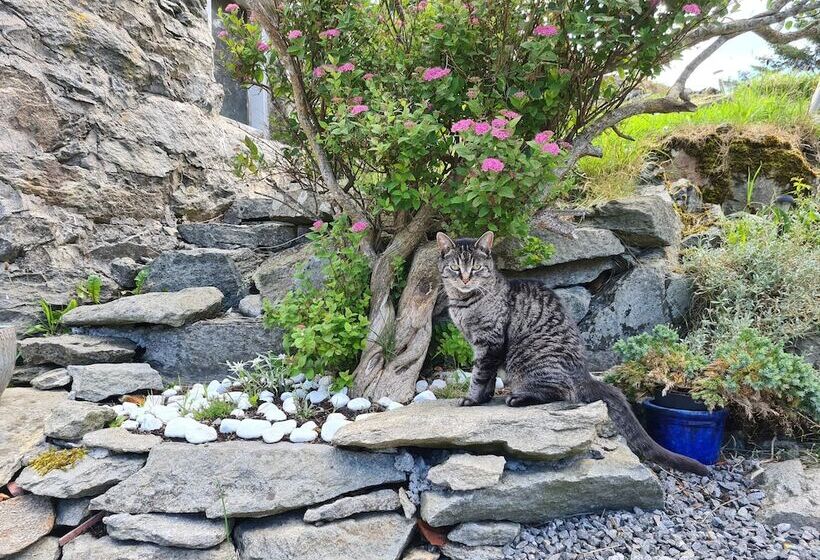 Bed and Breakfast Dugneberg