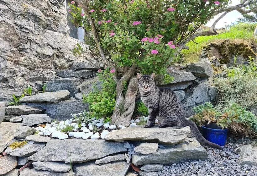 Aamiaismajoitus (B&B) Dugneberg