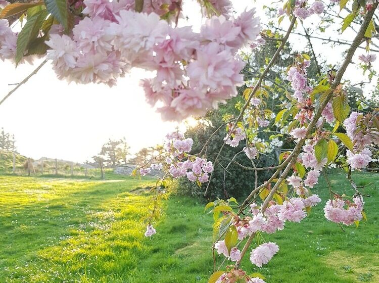 Bed and Breakfast Dugneberg