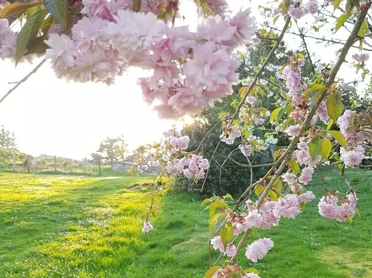Aamiaismajoitus (B&B) Dugneberg