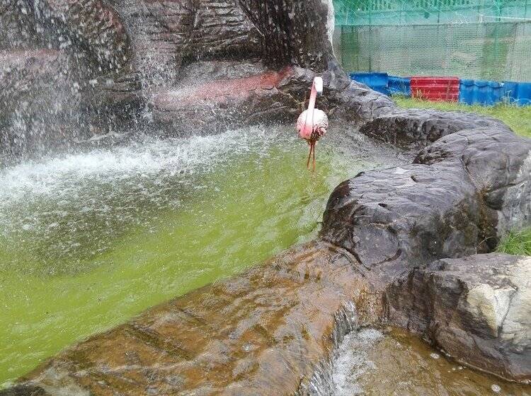 בית מלון כפרי Avtokemping Saratov