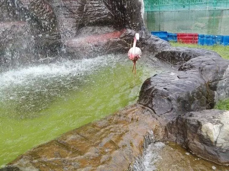 ホテル Avtokemping Saratov