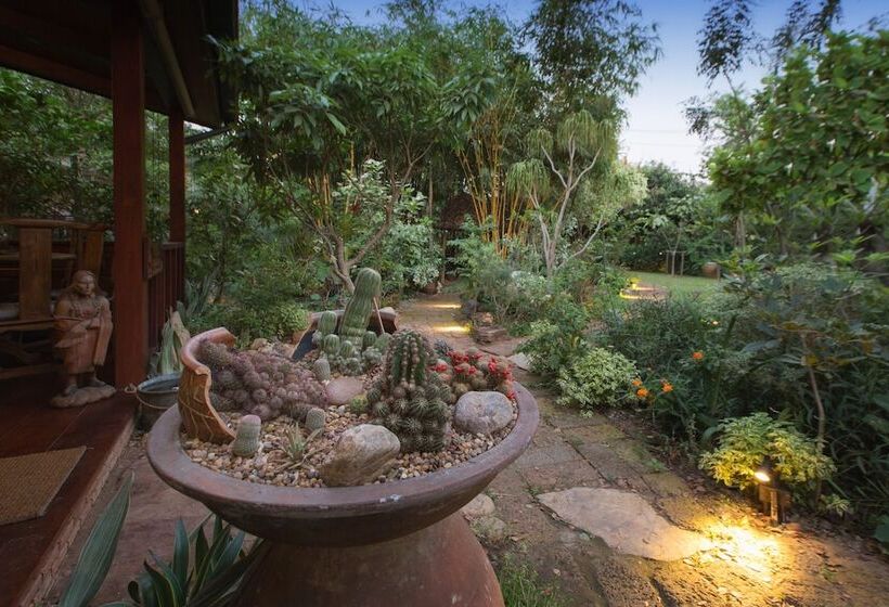 Hotel Cattani S Riverside Home