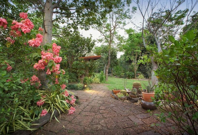 Hotel Cattani S Riverside Home