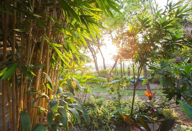 Hotel Cattani S Riverside Home