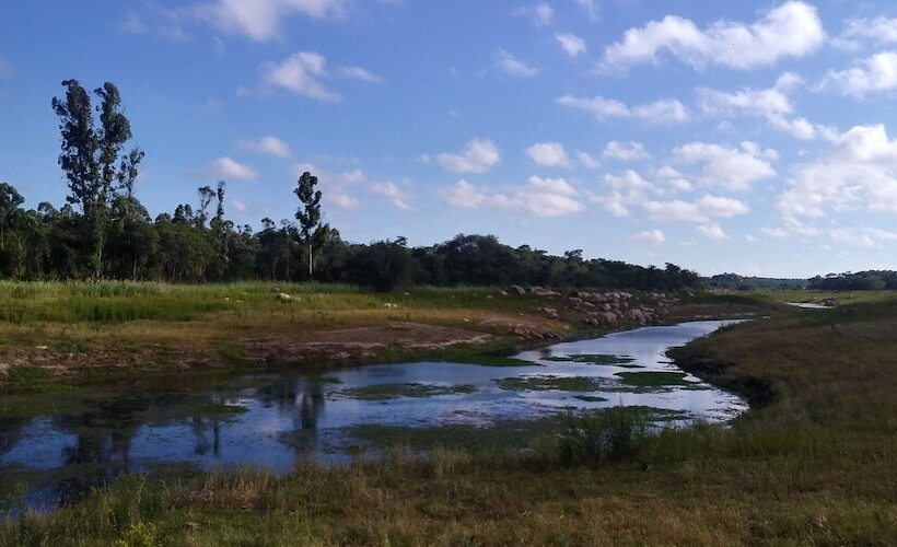 فندق Ruwa River Herbal Clinic & All Inclusive Oasis Spa Resort