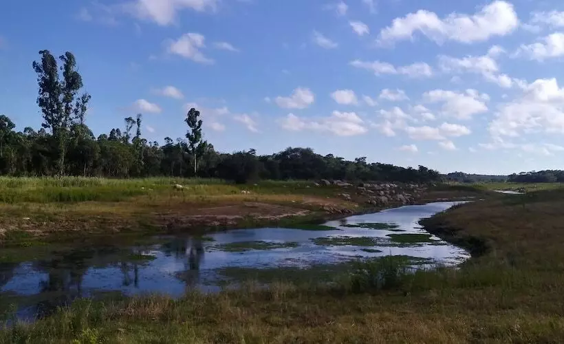 هتل Ruwa River Herbal Clinic & All Inclusive Oasis Spa Resort