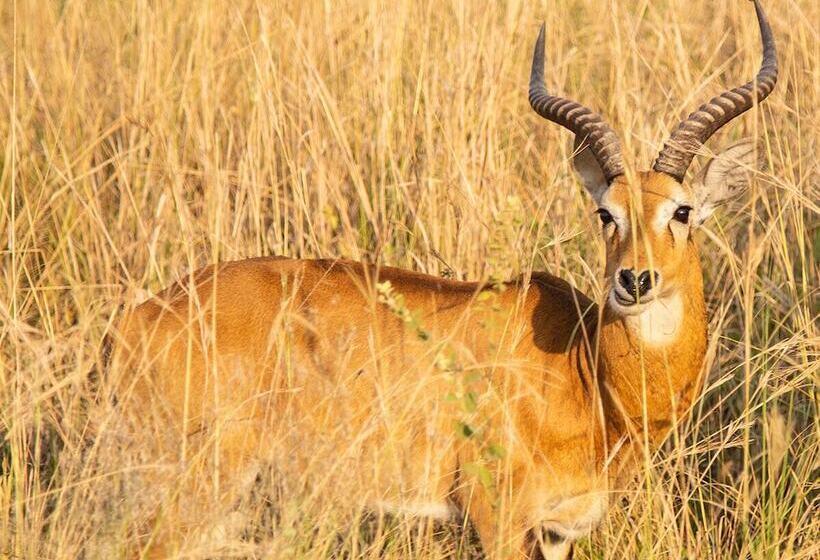 فندق Ruwa River Herbal Clinic & All Inclusive Oasis Spa Resort