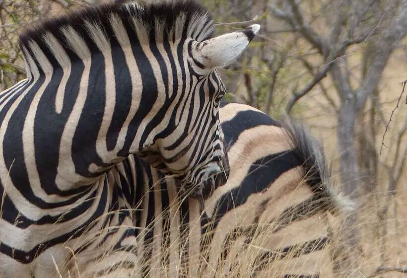 هتل Ruwa River Herbal Clinic & All Inclusive Oasis Spa Resort