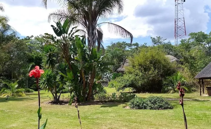 هتل Ruwa River Herbal Clinic & All Inclusive Oasis Spa Resort