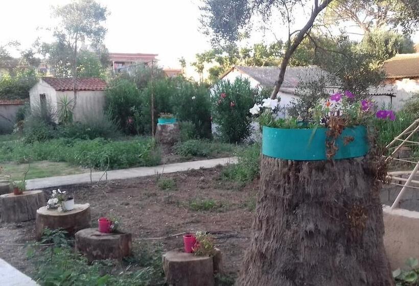 פנסיון Full House Kavos