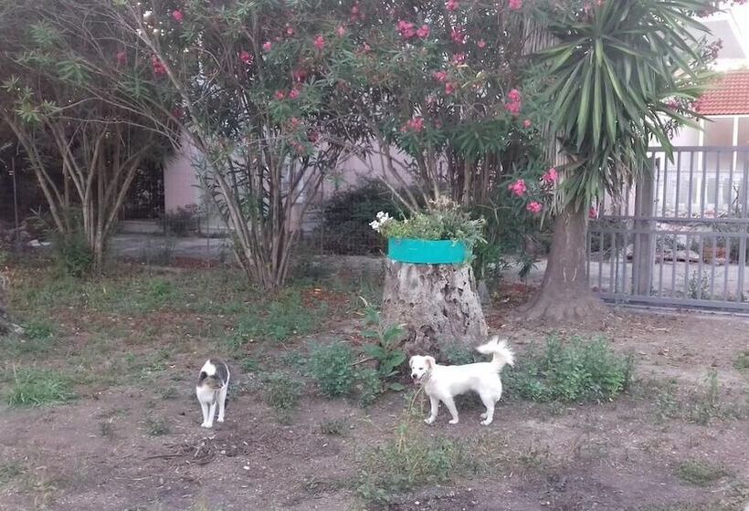 פנסיון Full House Kavos