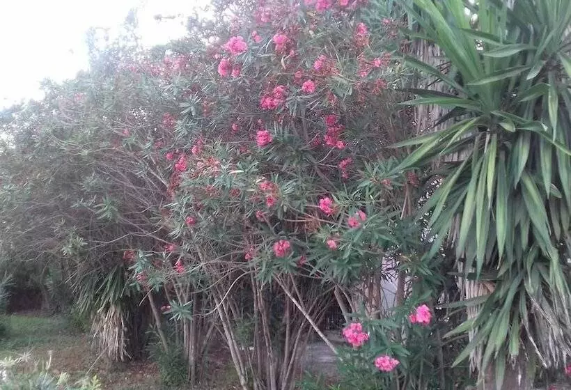 ペンション Full House Kavos