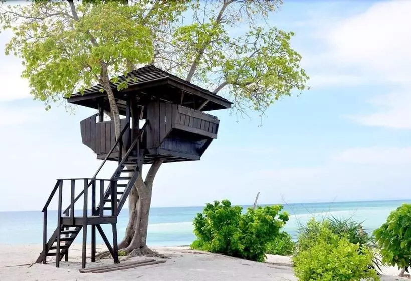 Majatalo Palompon Traveler S Lodge