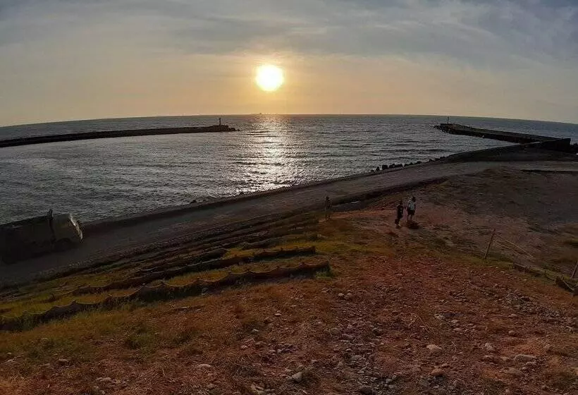 پانسیون Taoyuan Airport Rory Harbor Hostel