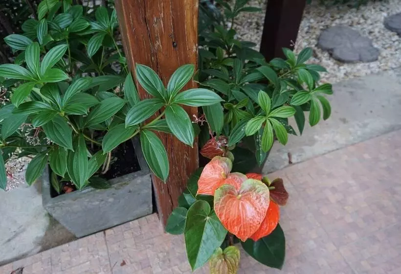 پانسیون ท่ามะโอบูทีคโฮมสเตย์ Tha Ma O Bouteak Homestay