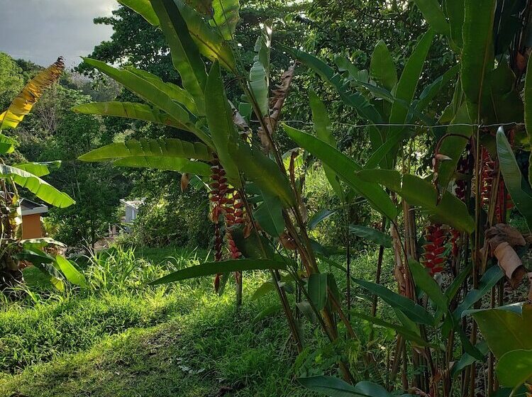 تختخواب و صبحانه Casa Clara Vista