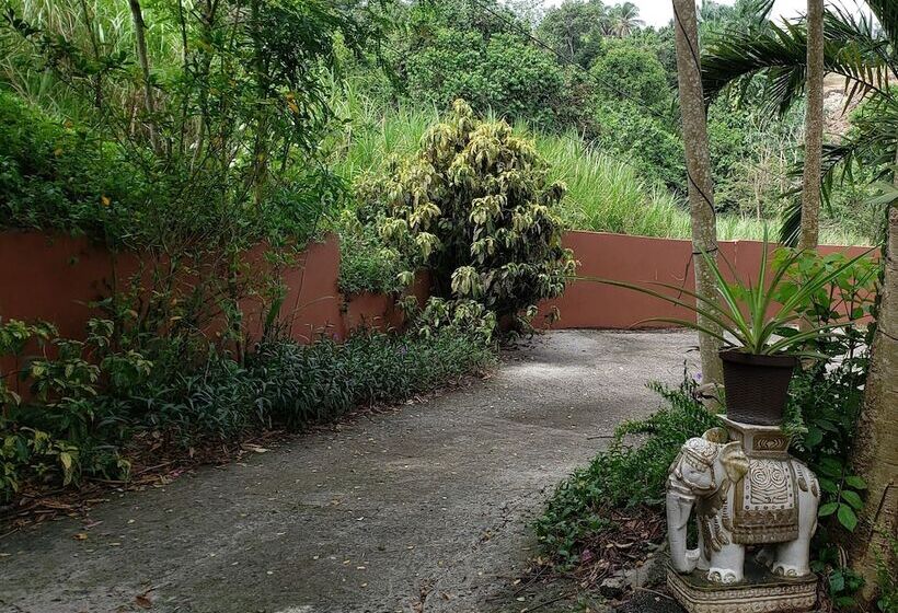 تختخواب و صبحانه Casa Clara Vista