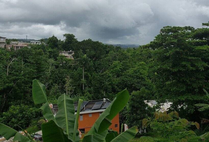 تختخواب و صبحانه Casa Clara Vista