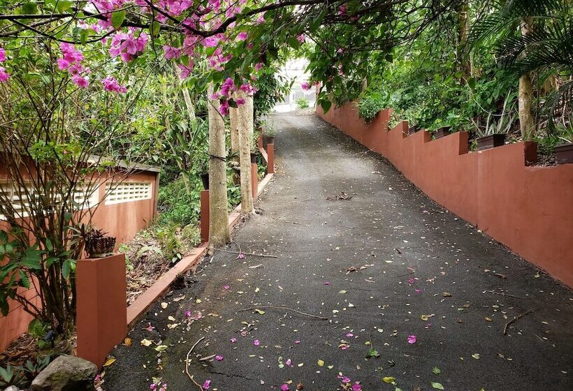 تختخواب و صبحانه Casa Clara Vista