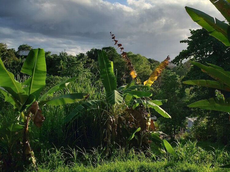 تختخواب و صبحانه Casa Clara Vista