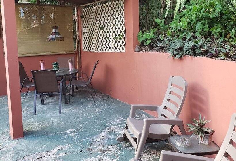 تختخواب و صبحانه Casa Clara Vista