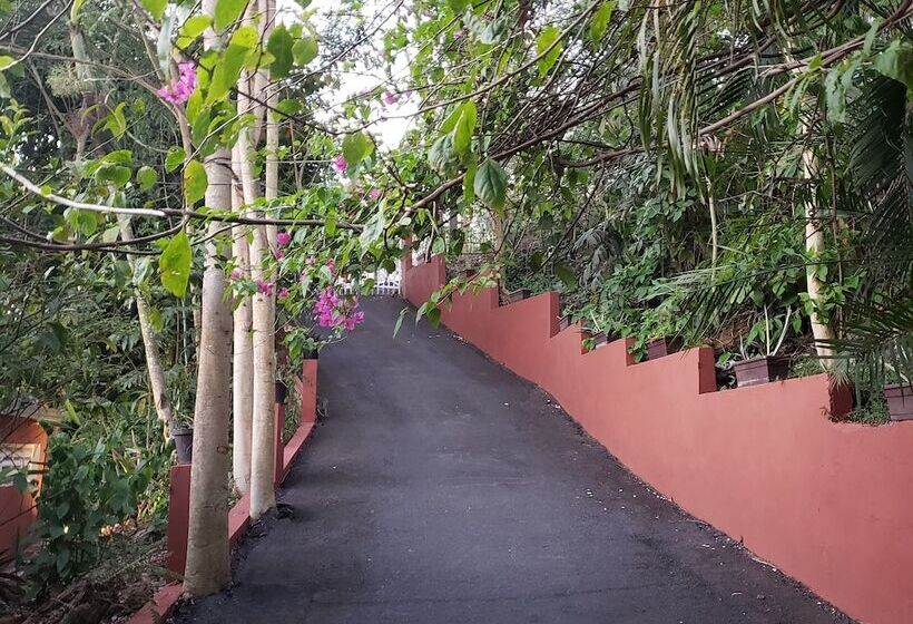 تختخواب و صبحانه Casa Clara Vista