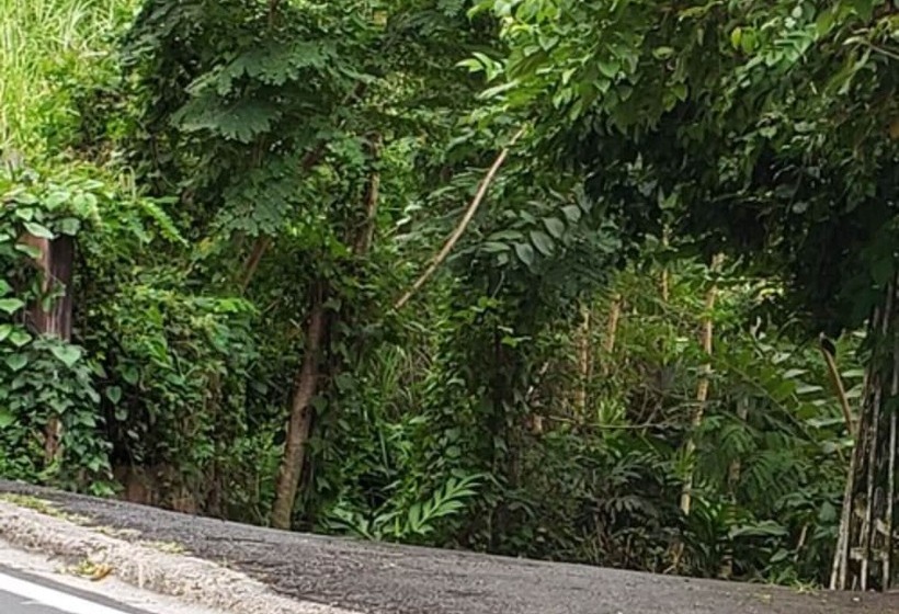 تختخواب و صبحانه Casa Clara Vista