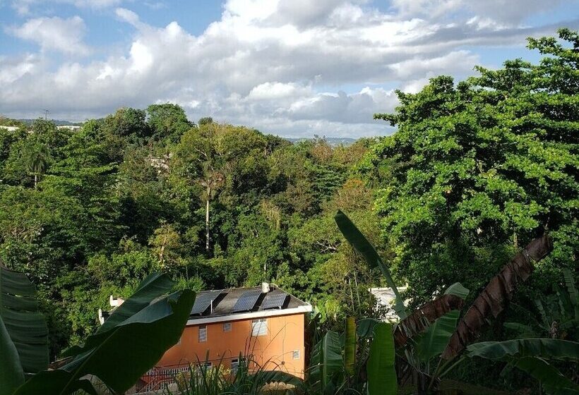 تختخواب و صبحانه Casa Clara Vista